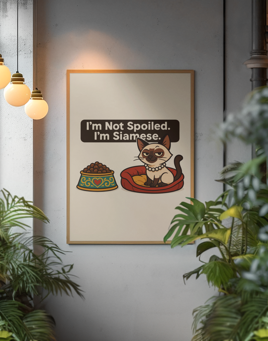Funny Cat Memes Poster - 'I'm Not Spoiled, I'm Siamese' - Perfect for Cat Lovers